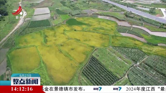 整点新闻20250627 14：00