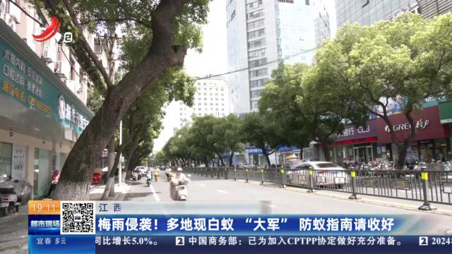 江西：梅雨侵袭！多地现白蚁“大军”防蚁指南请收好