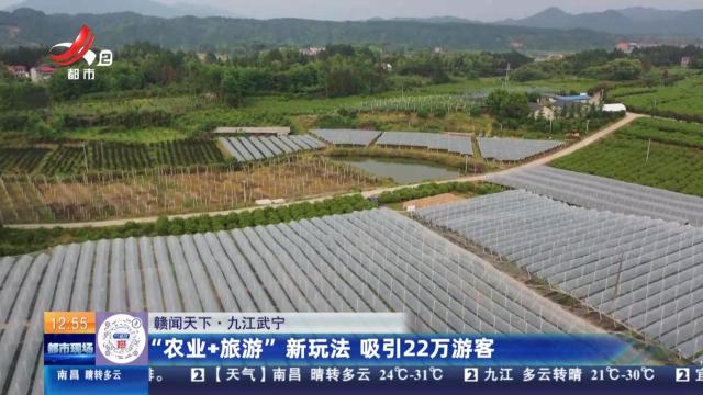 【赣闻天下】九江武宁：“农业+旅游”新玩法 吸引22万游客