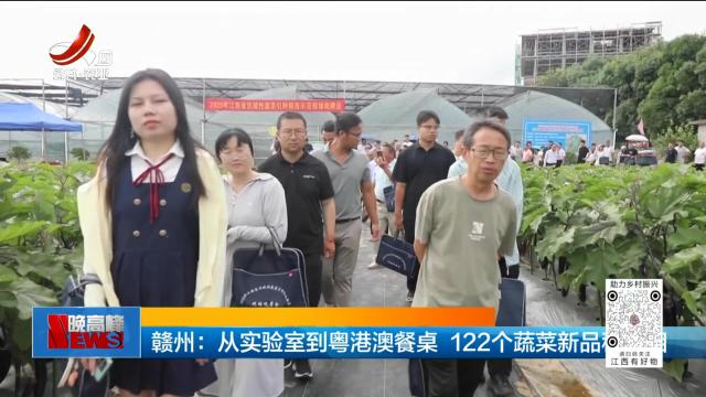赣州：从实验室到粤港澳餐桌 122个蔬菜新品种亮相