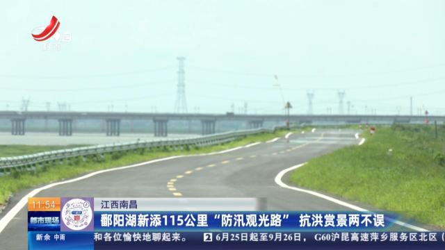江西南昌：鄱阳湖新添115公里“防汛观光路” 抗洪赏景两不误