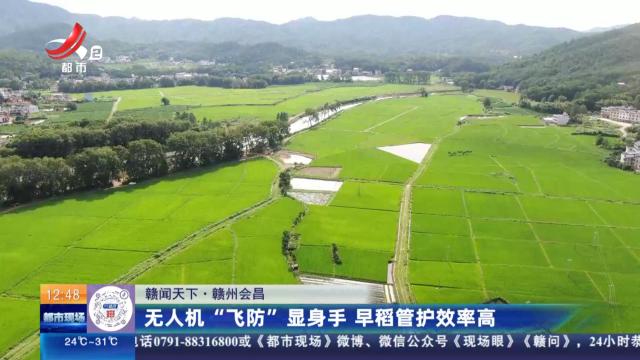 【赣闻天下】赣州会昌：无人机“飞防”显身手 早稻管护效率高