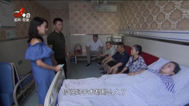 乡村栏目剧场20250625 跨世纪重逢