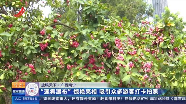 【放眼天下】广西南宁：“莲雾瀑布”惊艳亮相 吸引众多游客打卡拍照