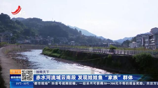 都市现场20250618