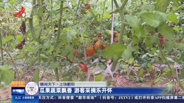 【赣闻天下】上饶鄱阳：瓜果蔬菜飘香 游客采摘乐开怀