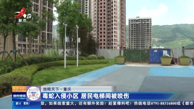 【放眼天下】重庆：毒蛇入侵小区 居民电梯间被咬伤