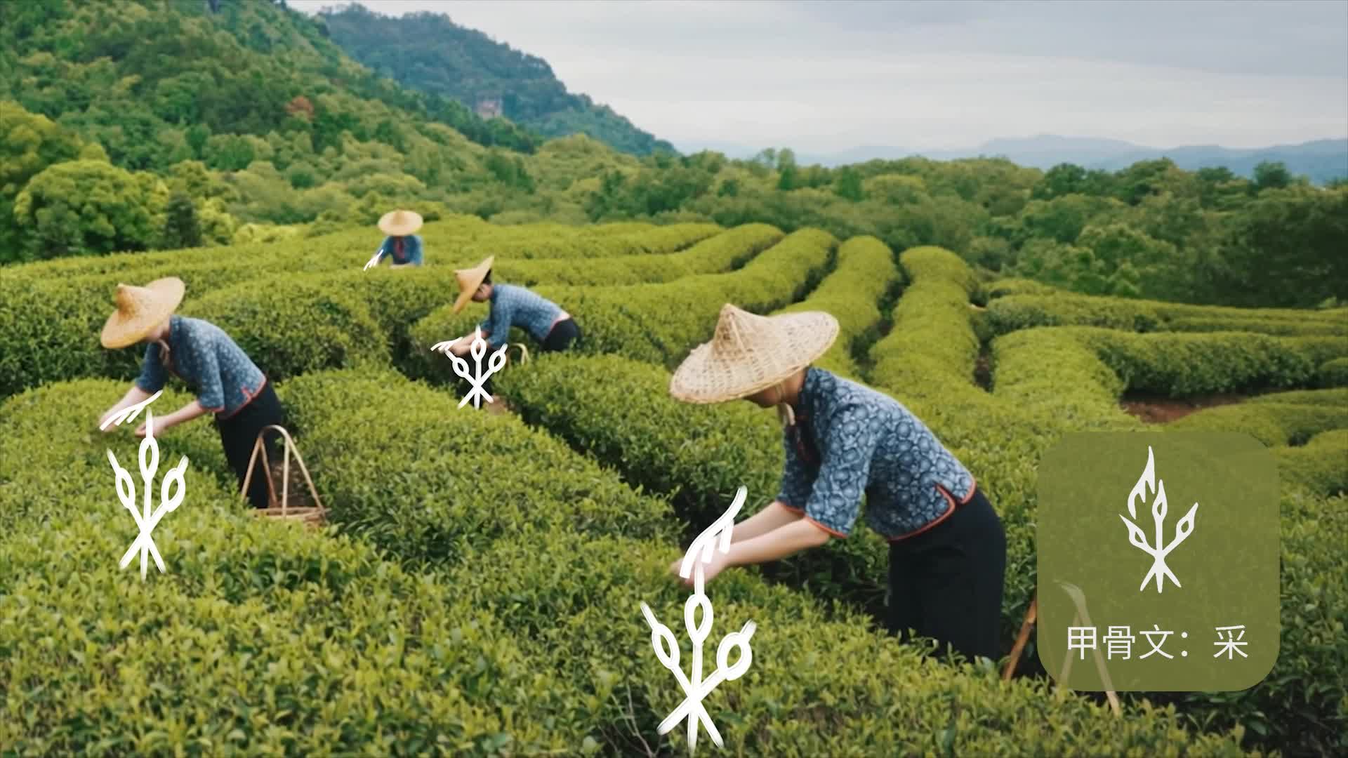 【合福十周年】高铁遇上野生甲骨文