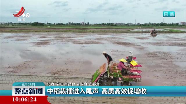 中稻栽插进入尾声 高质高效促增收