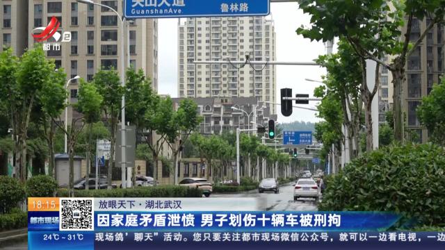 【放眼天下】湖北武汉：因家庭矛盾泄愤 男子划伤十辆车被刑拘