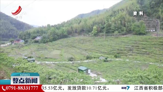 整点新闻20250608 14：00