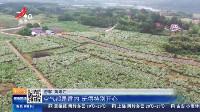 都市现场20250602