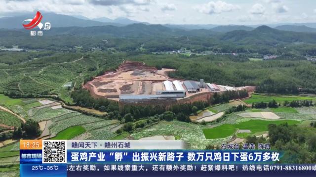 【赣闻天下】赣州石城：蛋鸡产业“孵”出振兴新路子 数万只鸡日下蛋6万多枚