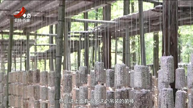 农问20250614