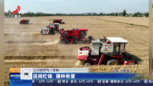 【二十四节气·芒种】田间忙碌 播种希望