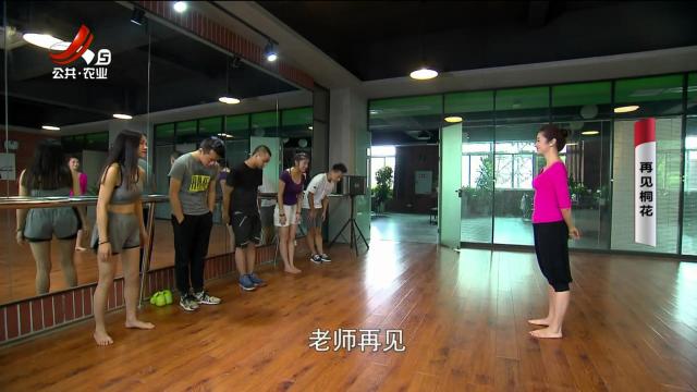 乡村栏目剧场20250618 再见桐花