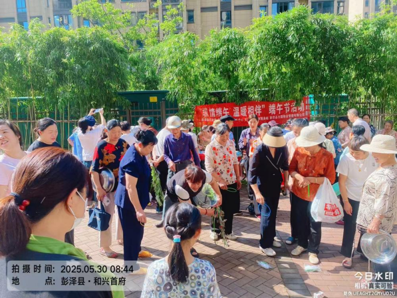 九江市彭泽县芙蓉墩镇：粽香传情，共庆端午