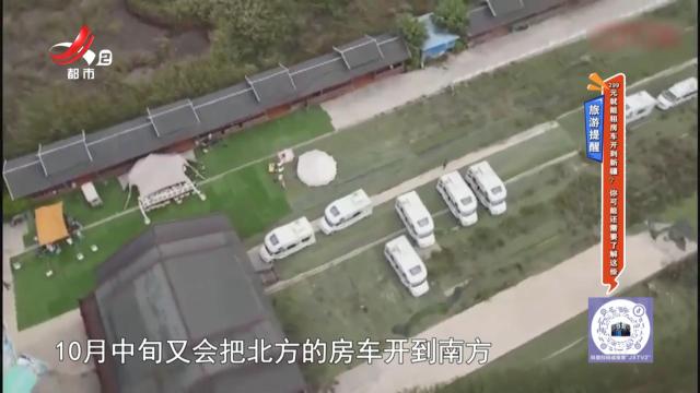 地宝当家20250611