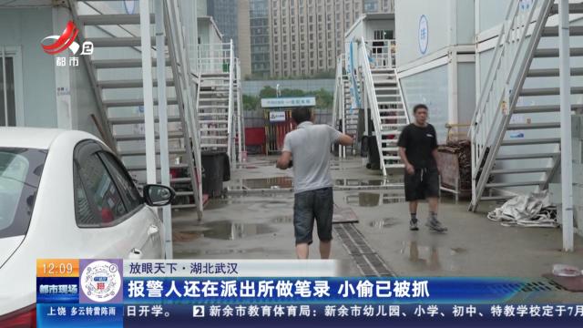【放眼天下】湖北武汉：报警人还在派出所做笔录 小偷已被抓