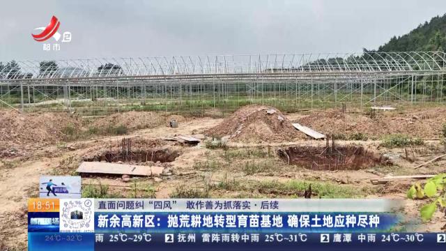 【直面问题纠“四风” 敢作善为抓落实·后续】新余高新区：抛荒耕地转型育苗基地 确保土地应种尽种