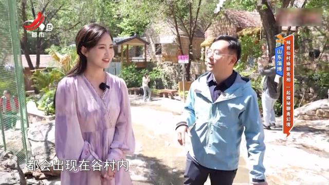 地宝当家20250606