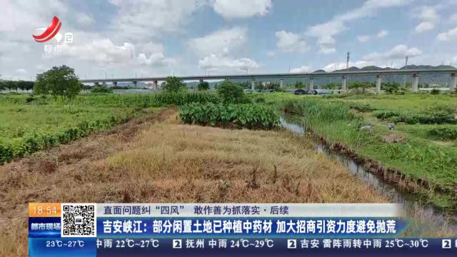 【直面问题纠“四风” 敢作善为抓落实·后续】吉安峡江：部分闲置土地已种植中药材 加大招商引资力度避免抛荒