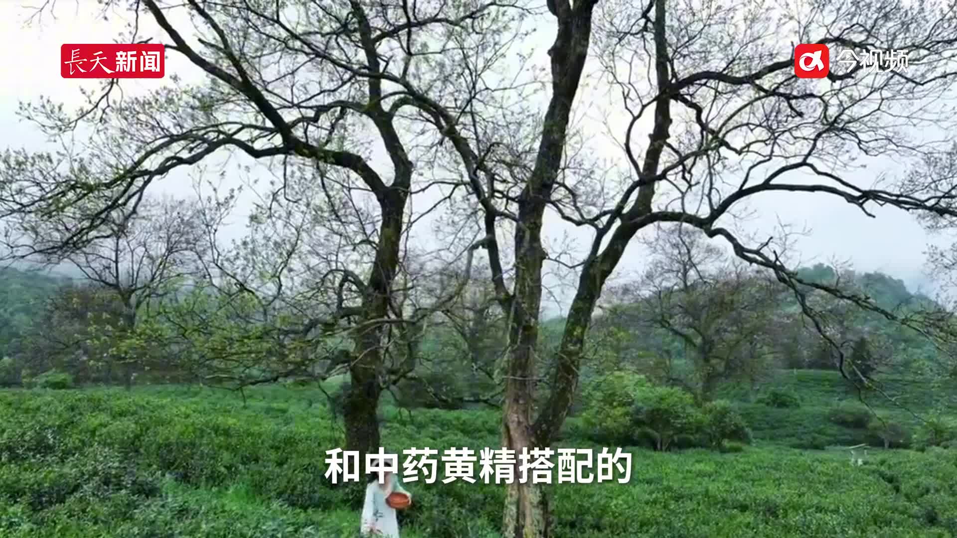 南昌健博会“进口”产品再升级 专家教你避免病从口入