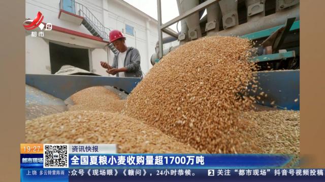 全国夏粮小麦收购量超1700万吨