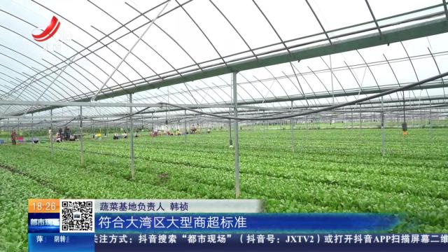 【赣闻天下】赣州兴国：夏日田园“丰”景独好 辣椒、芦笋直供大湾区