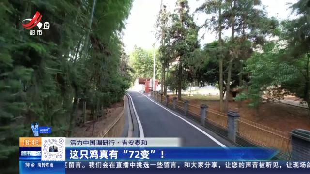 【活力中国调研行】吉安泰和：这只鸡真有“72变”！