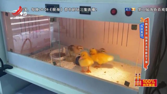 地宝当家20250730