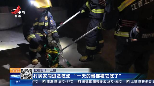 【救在现场】上饶：村民家闯进贪吃蛇 “一天的蛋都被它吃了”