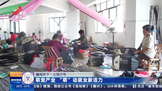 【赣闻天下】上饶万年：萌宠产业 “萌”动就业新活力