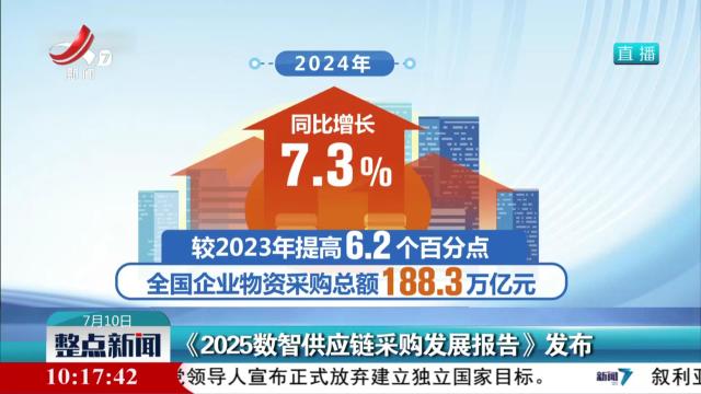 《2025数智供应链采购发展报告》发布