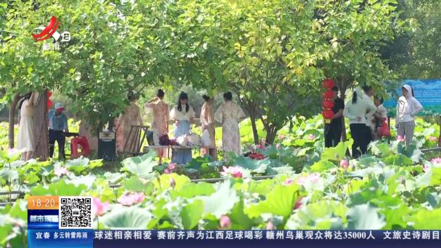都市现场20250720