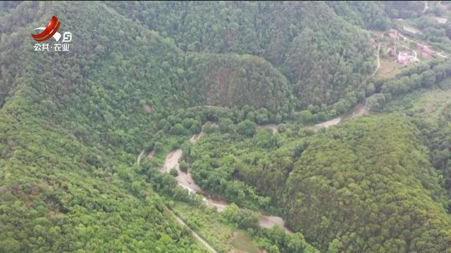 新闻晚高峰20250722