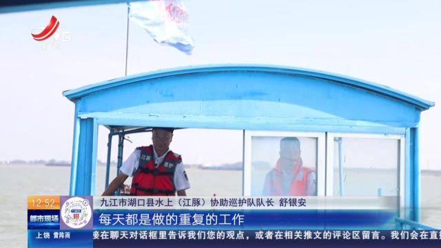 【赣闻天下】九江湖口：巡护里程超16万公里 他从捕鱼人变为“护豚人”