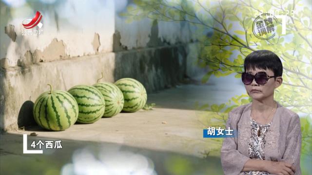 平静生活竟被四个西瓜打破 别样秘密令夫妻生活矛盾不断