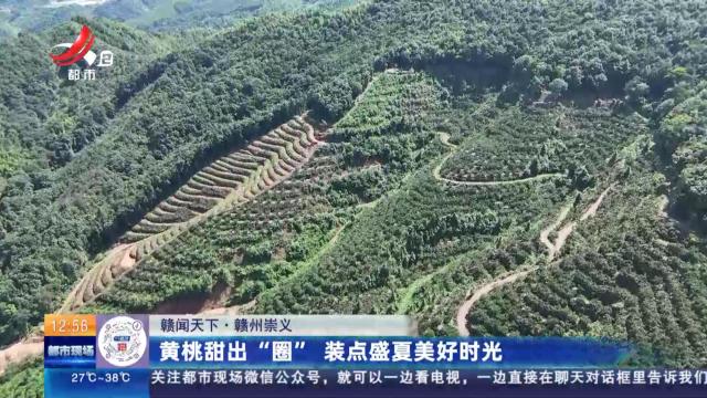 【赣闻天下】赣州崇义：黄桃甜出“圈” 装点盛夏美好时光