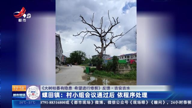 【《大树枯萎有隐患 希望进行修剪》反馈·吉安吉水】罗田镇：村小组会议通过后 依程序处理