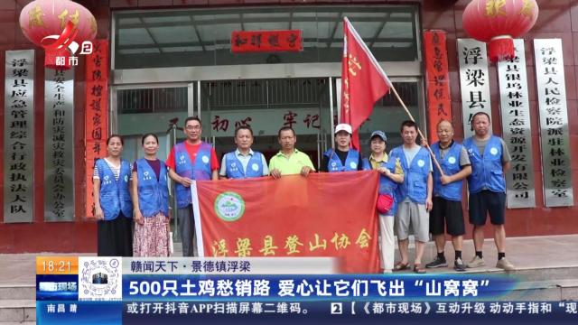 【赣闻天下】景德镇浮梁：500只土鸡愁销路 爱心让它们飞出“山窝窝”