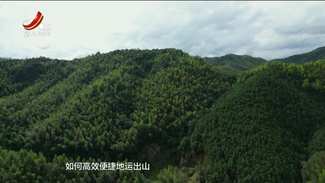 五哥帮忙团20250703