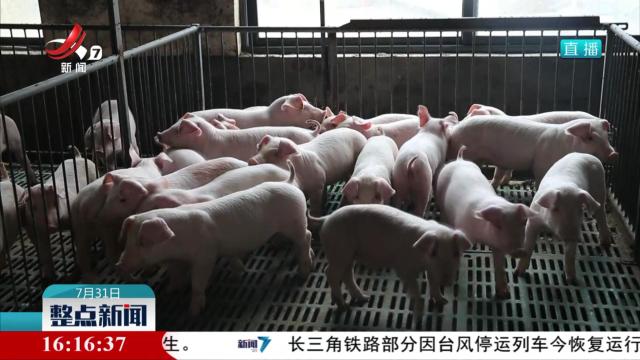 【一线调研】双胞胎集团：科技创新铸就全国猪饲料龙头品牌