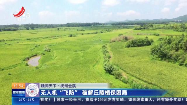 【赣闻天下】抚州金溪：无人机“飞防” 破解丘陵植保困局