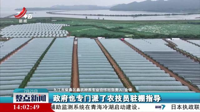 整点新闻20250721 14：00