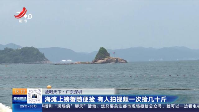 【放眼天下】广东深圳：海滩上螃蟹随便捡 有人拍视频一次捡几十斤