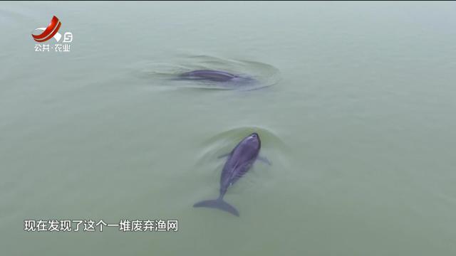 新闻晚高峰20250723
