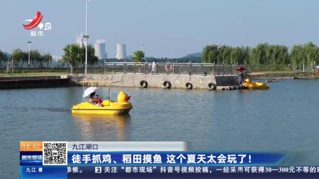 九江湖口：徒手抓鸡、稻田摸鱼 这个夏天太会玩了！