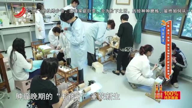 今日关注——中医“遇见”萌宠 催生宠物医疗就业新蓝海