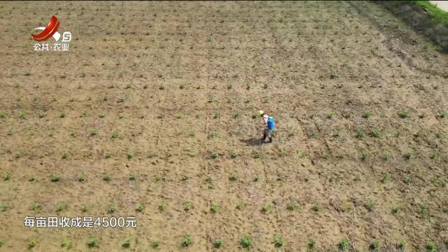 新闻晚高峰20250716